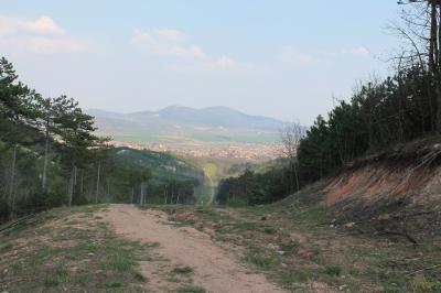 Magyar Camino Út/.háttérben Piliscsaba/